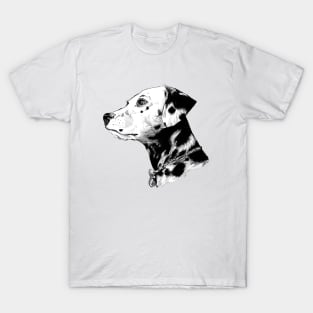 Dalmatian Drawing T-Shirt